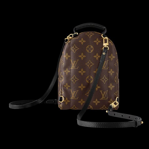 Louis Vuitton Palm Springs Mini - Picture 5 of 13